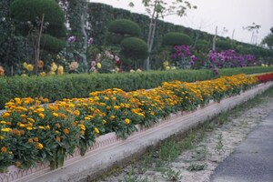 5 BHK Villa – Garden View at Matiyari - for Sale