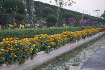 5 BHK Villa – Garden View at Matiyari - for Sale