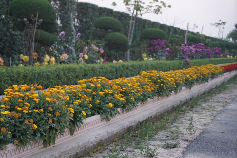 Garden, matiyari 5 Bedroom 4500 Sq.Ft. Villa In Matiyari Lucknow 10020839