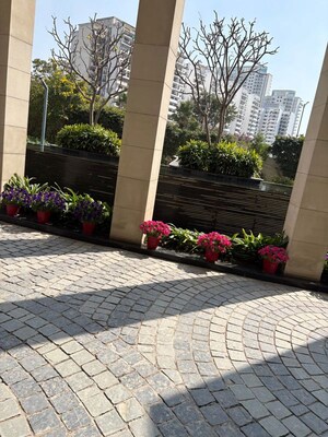 Parking in 4 BHK Builder Floor at DLF Garden City Independent Floors, Sector 92 – for Sale