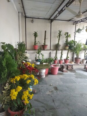 Parking in Studio Apartment at Saket – for Rent