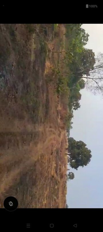 Plot Area in  Plot at Canacona – for Sale