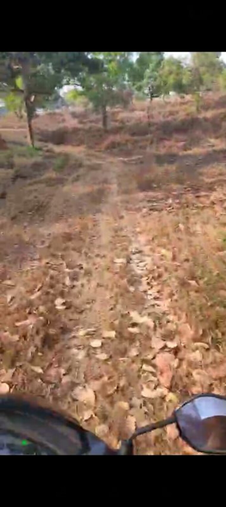 undefined, canacona  10000 Sq.Mt. Plot In Canacona Goa 10021030