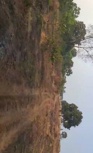  Plot For Sale in Canacona