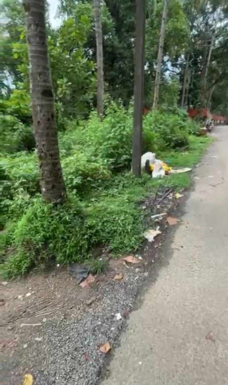 Garden, morjim  3100 Sq.Mt. Plot In Morjim Goa 10021044