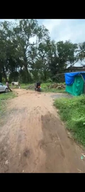  Plot – Exterior View View at Morjim - for Sale