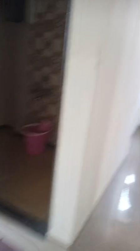 1 BHK Apartment For Rent in Abhinav Naigaon CHS