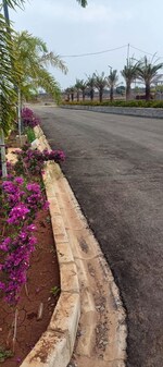 368 Sq.Yd. Plot in Fortune Butterfly City