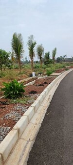 289 Sq.Yd. Plot in Fortune Butterfly City