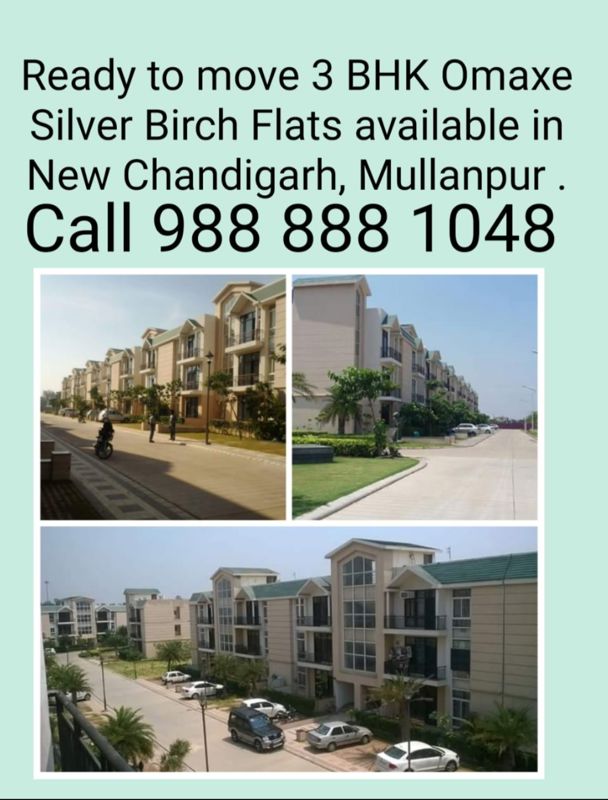 3 BHK 1180 Sq.Ft. Builder Floor in Omaxe New Chandigarh