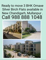 3 BHK 1180 Sq.Ft. Builder Floor in Omaxe New Chandigarh