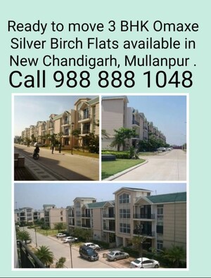3 BHK Builder Floor For Sale in Omaxe New Chandigarh, North Mullanpur