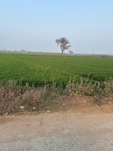 Plot Area in  Land at YEIDA Plots, Dankaur – for Sale