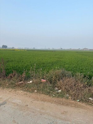 Plot Area in  Land at YEIDA Plots, Dankaur – for Sale