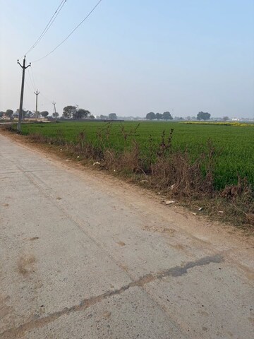  Land For Sale in YEIDA Plots, Dankaur
