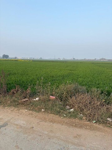 Plot Area in  Land at YEIDA Plots, Dankaur – for Sale