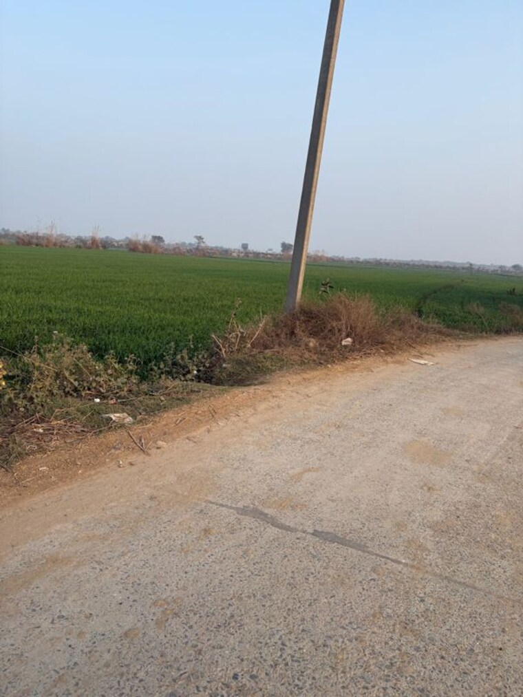 undefined, yeida-plots Commercial Land 3374 Sq.Mt. In Dankaur Greater Noida 10021778
