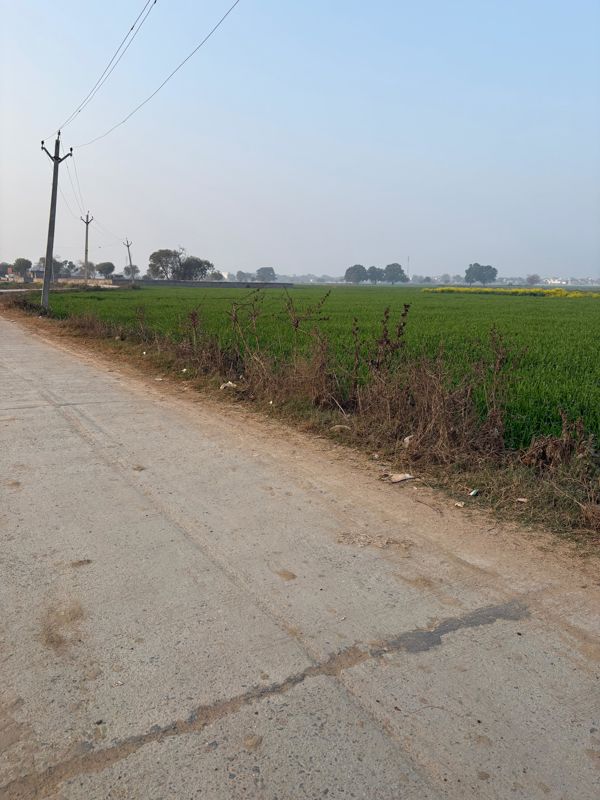 Land For Sale in YEIDA Plots