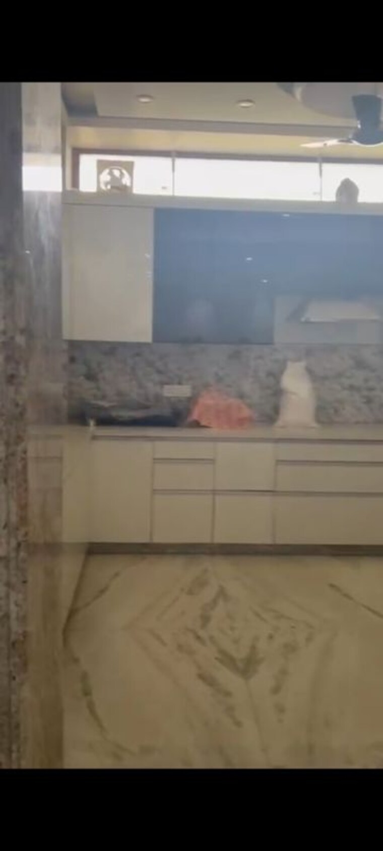 Bathroom, rwa-apartments-sector-20 1 Bedroom 450 Sq.Ft. Independent House In Sector 20 Noida 10022085