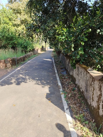 Balcony in 2 BHK Independent House at Carmona – for Rent