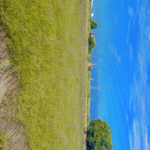   Plot at Knowledge Park Ii Greater Noida – for Sale