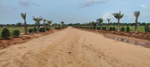 Plot Area in  Plot at Tdi City – for Sale