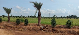 Plot Area in  Plot at Tdi City – for Sale