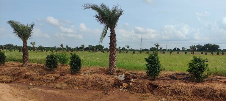 undefined, tdi city  164 Sq.Yd. Plot In Tdi City Panipat 10023045