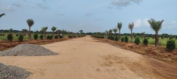 Plot Area in  Plot at Tdi City – for Sale