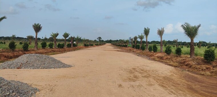 undefined, tdi city  184 Sq.Yd. Plot In Tdi City Panipat 10023047