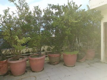 Living Room in 2 BHK Builder Floor at Alaknanda – for Rent