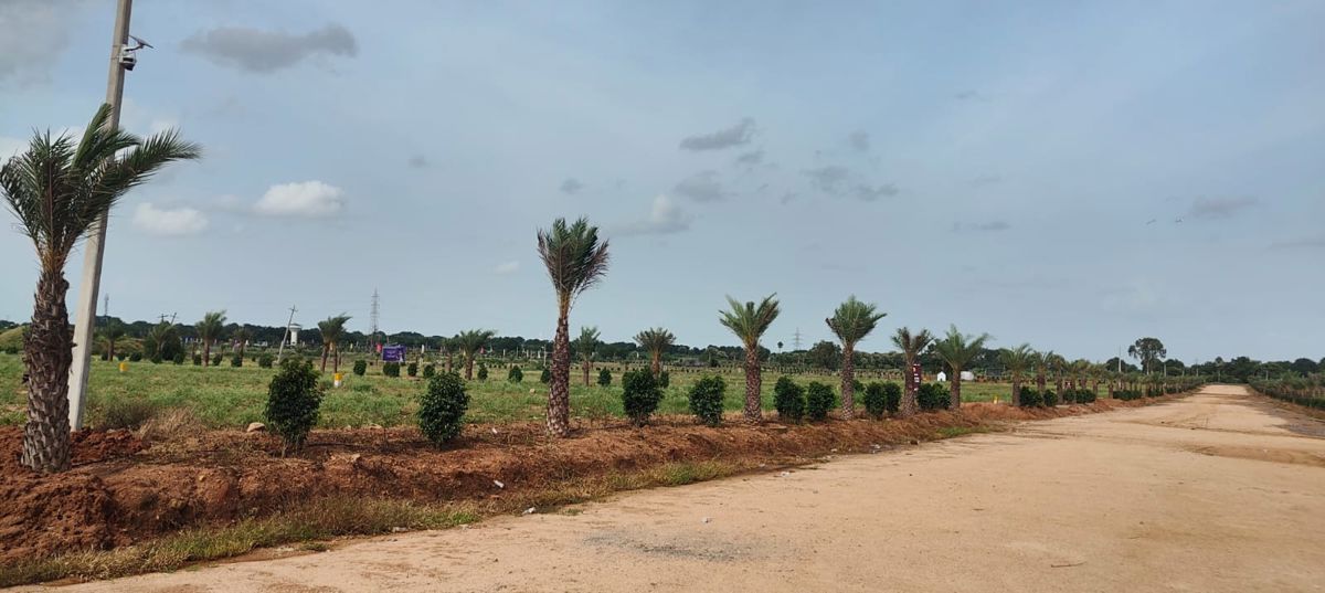 Plot For Sale in TDI city