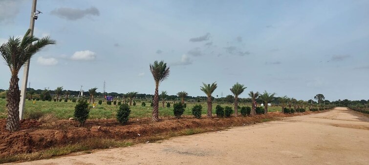 Cover Image, tdi city  268 Sq.Yd. Plot In Tdi City Panipat 10024239