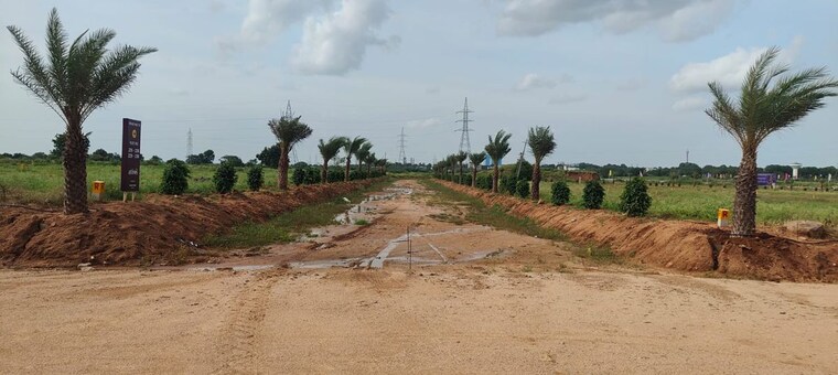 undefined, tdi city  268 Sq.Yd. Plot In Tdi City Panipat 10024239