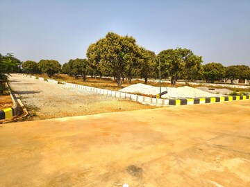 Plot Area in  Plot at Burgula Village – for Sale