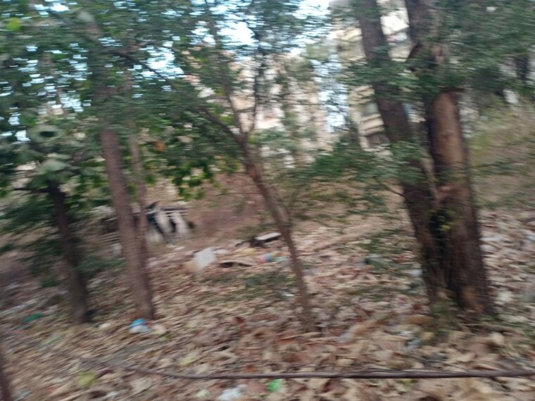 Garden, pimple nilakh  40500 Sq.Ft. Plot In Pimple Nilakh Pune 10024762