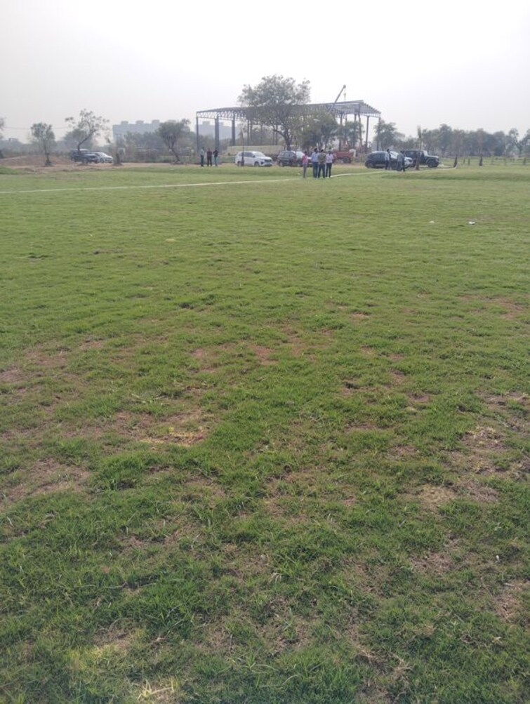 Garden, sector 99a  1620 Sq.Ft. Plot In Sector 99a Faridabad 10024816