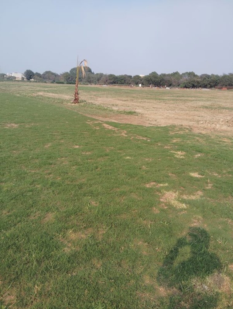 undefined, sector 99a  1620 Sq.Ft. Plot In Sector 99a Faridabad 10024816