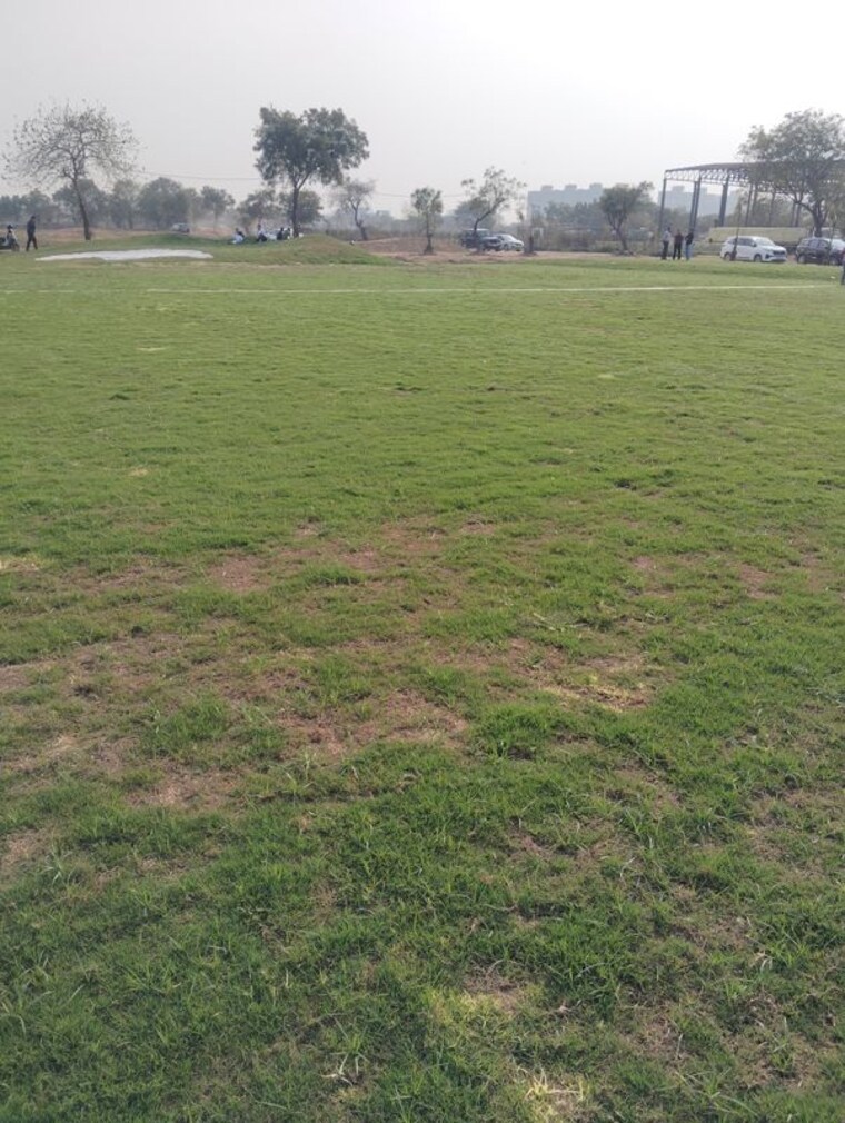 Garden, sector 99a  1620 Sq.Ft. Plot In Sector 99a Faridabad 10024816