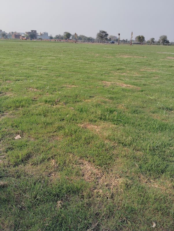 Plot For Sale in Sector 99A