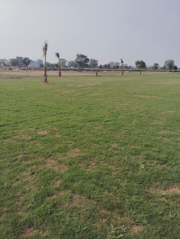 Plot Area in  Plot at Adore Smart City, Sector 97 – for Sale
