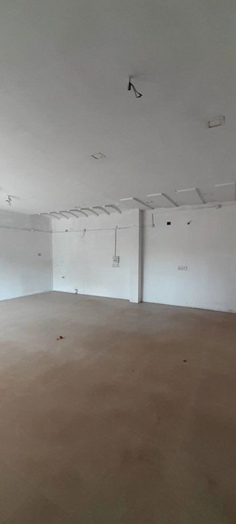 Room, shankar nagar Commercial Office Space 500 Sq.Ft. In Shankar Nagar Raipur 10024807