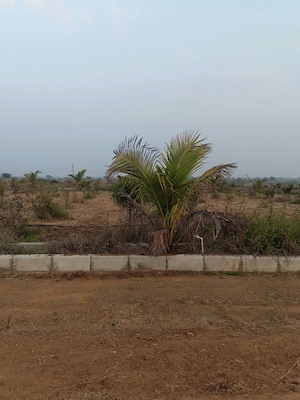 Plot Area in  Plot at Chintapalli – for Sale