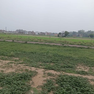 Plot Area in  Plot at Sector 56 – for Sale