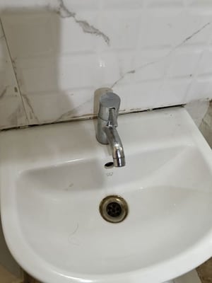 Bathroom in 1 BHK Apartment at LS Laxmi Avenue, Wakad – for Rent