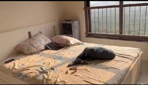 2 BHK Apartment For Rent in Kalpataru Srishti Namaah, Mira Road