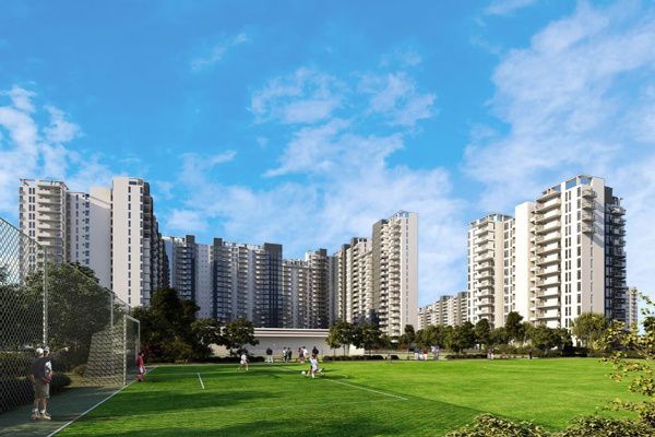 3 BHK Apartment For Rent in Ireo The Corridors
