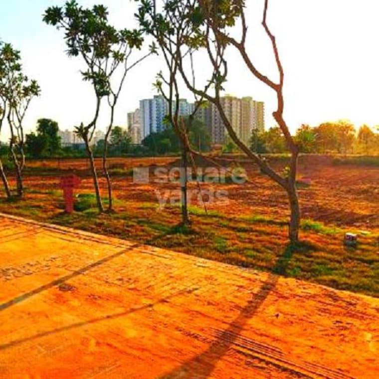 Garden, aerocity  999 Sq.Ft. Plot In Aerocity Mohali 10025489