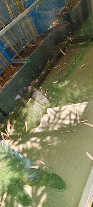 2 BHK Apartment – Garden View at H Rishabraj Avyaana, Goregaon West - for Sale