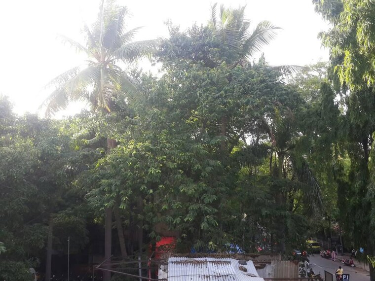 Exterior View, yugay-parijat-apartment 3 Bedroom 1250 Sq.Ft. Apartment In Erandwane Pune 9635990